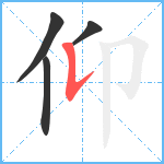 仰笔顺分解图片4