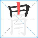 冑笔顺分解图片4