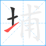 埔笔顺分解图片3