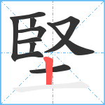 堅笔顺分解图片10