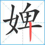 婢笔顺分解图片11