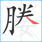 媵笔顺分解图片10