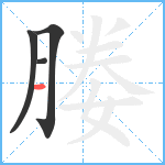 媵笔顺分解图片4