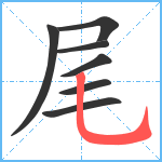 尾笔顺分解图片7