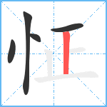 怔笔顺分解图片5