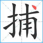 捕笔顺分解图片10