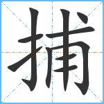 捕笔顺分解图片11