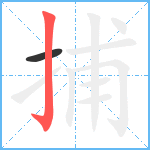 捕笔顺分解图片2