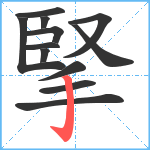 掔笔顺分解图片12