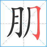 朋笔顺分解图片6