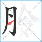 朎笔顺分解图片4