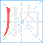 朒笔顺分解图片1