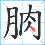 朒笔顺分解图片10