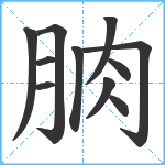 朒笔顺分解图片11