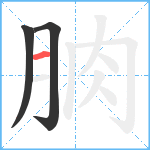 朒笔顺分解图片3