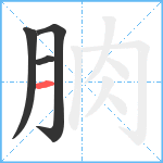 朒笔顺分解图片4