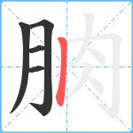 朒笔顺分解图片5