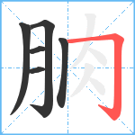 朒笔顺分解图片6