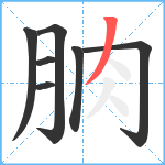 朒笔顺分解图片7