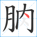 朒笔顺分解图片8