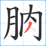 朒笔顺分解图片9