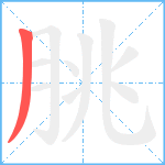 朓笔顺分解图片1