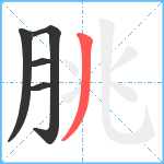 朓笔顺分解图片5