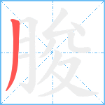 朘笔顺分解图片1