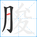 朘笔顺分解图片3