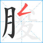 朘笔顺分解图片5