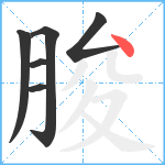 朘笔顺分解图片6