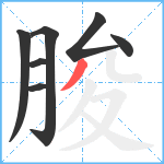 朘笔顺分解图片7