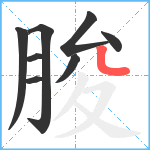 朘笔顺分解图片8