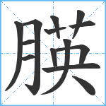 朠笔顺分解图片14