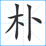 朴笔顺分解图片7