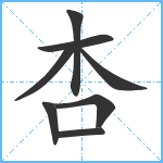 杏笔顺分解图片8