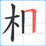 柤笔顺分解图片6