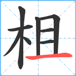 柤笔顺分解图片9