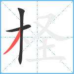 柽笔顺分解图片3