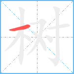 树笔顺分解图片1