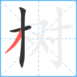 树笔顺分解图片3