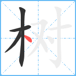 树笔顺分解图片4