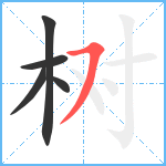 树笔顺分解图片5