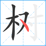 树笔顺分解图片6