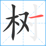 树笔顺分解图片7