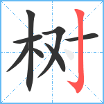 树笔顺分解图片8