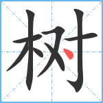 树笔顺分解图片9