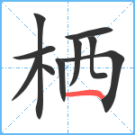 栖笔顺分解图片10