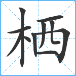 栖笔顺分解图片11