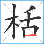 栝笔顺分解图片10